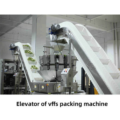 2.2kw 60Bags/Min Dried Persimmon Granular Packing Machine